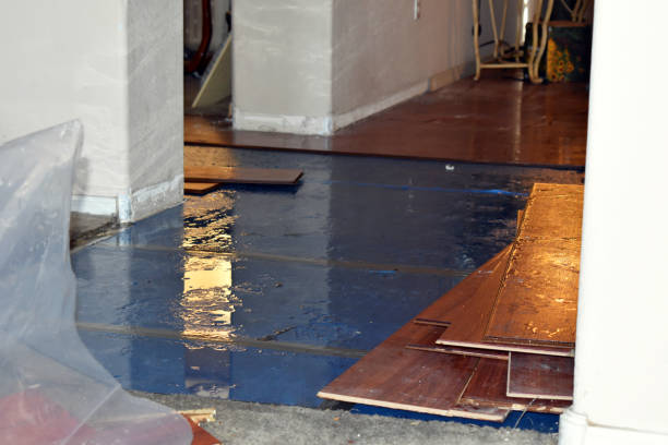 Professional Burst Pipe Cleanup technician working in Cookstown, NJ