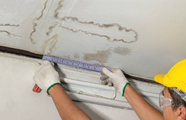 Reliable Burst Pipe Cleanup contractor in Cookstown, NJ by Local Water Damage Repair